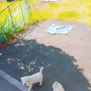 해수분식 이미지