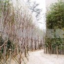 롯데부동산공인중개사사무소 이미지
