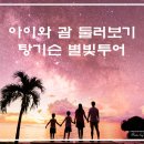 별빛물결시티투어 | [괌 가족여행] 탕기슨 해변 별빛투어 &amp; 바베큐 후기 (예약 꿀팁, 인생샷)