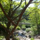 새밭민박 이미지