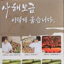 클린족욕 이미지