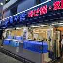 마장동 횟집 우정수산 마장역 회 & 해산물 맛집 내돈내산 추천