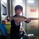 앵남낚시터 이미지