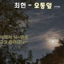 오동 잎-최헌 이미지