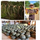 웅이네농장 이미지