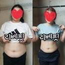 리베핏