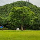 한방생태숲 이미지