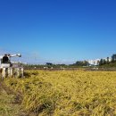 (주)구룡조경