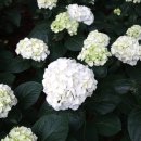 갈매공원 이미지