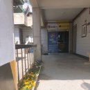 황금발태권도 이미지