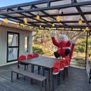 카페인하원 이미지