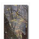 화암사 가는길 이미지