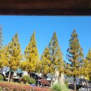 강아지마을2012 | 167번째 독서후기 리사 리드센 소설-새들이 남쪽으로 가는 날