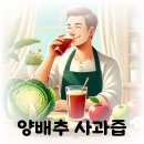 양배추 사과즙 효능 효과 부작용 먹어본 후기