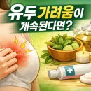 자연치유37도(주) | 유두 가려움이 계속된다면? 자연치유 루틴과 저자극 연고 조합으로 관리하는 방법