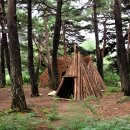 트리하우스 이미지