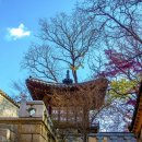 금촌전통시장 이미지