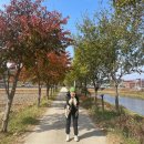 씨유 당산하늘점 | [지리산둘레길3코스]최고야 짜릿해 / 동서울출발! 인월-금계