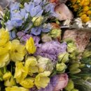 원종인의Flower 이미지