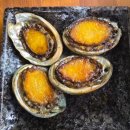 형제식당 | 서귀포 갈치 맛집 형제도식당 갈치 한상 코스 솔직 후기(회, 통구이. 조림, 튀김, 초무침 등)