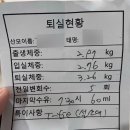 동탄제일프리미엄산후조리원 | [출산]동탄제일프리미엄산후조리원 9박 10일 후기(2)_식사, 산후마사지,퇴원,bcg