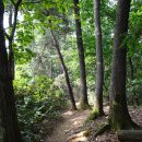 원주굽이길 1코스 가마바우길 이미지