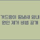 땀 이미지