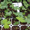 용성농약사 이미지