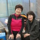 번개농장 이미지