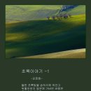 초록이야기