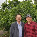 김길용농장 네이버블로그