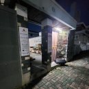 대구곤충마트 | 대구 수성구 곤충마트 렙스타일_크리스티드게코 도마뱀 파충류 사육 분양샵