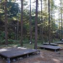 금강송체험야영장 이미지