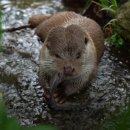 에코맘 협동조합 이미지