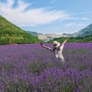 동해시-08 이미지