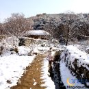 밤사이 첫눈으로 아름다운 설경을 만들어낸 아산 외암리 민속마을 이미지