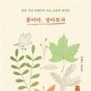 날마다 봄 이미지