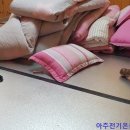 용봉산자연휴양림 이미지