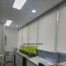 디엘디(DLD) 이미지