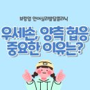 브링업언어심리발달클리닉