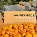 맛미유기비료 | 12Brix 고당도 제주 감귤 직거래 25,000원 무료배송