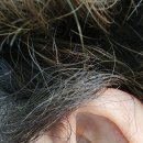 백운역맑은소리보청기 시어머니 보청기 교체 상담 다녀온 후기