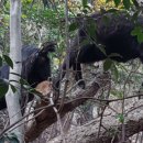 송백농장 이미지