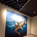 용인문화유적전시관 | 경산 임당유적전시관 &amp; 어린이 체험관