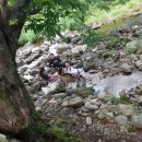 운학 캠핑장 이미지