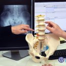 연세그리어슨신경외과의원 이미지