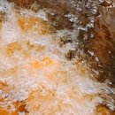 식용유 가열 시 발암성 물질과 미세 입자(ultrafine particles) 대량 방출 이미지