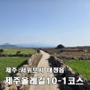 단산마을 | [제주올레길 10-1코스 정방향] 가파도 4.2km, 2번 실패 끝에 들어간 섬, 짧지만 기억에 남는 올레길