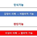 정연F&S 이미지