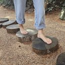 나폴리농원